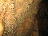 Aven_de_la_Buse_002.jpg im Album Aven B.