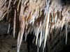 Aven_de_la_Buse_003.jpg im Album Aven B.