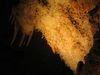 Aven_de_la_Buse_015.jpg im Album Aven B.