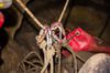 2015_01_Wintertreffen_017.jpg im Album frz. Jura Januar 2015