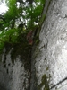 2016_08_franz_jura_014.jpg im Album franz. Jura - Sommer 2016