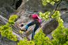 Jura_2010_37.jpg im Album Franz. Jura 2010